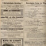 B.er Badeblatt 7.6.1910, 4