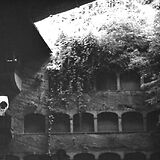 Generalprobe zu W. A. Mozarts Oper Die Zauberflöte unter W. Furtwängler, Felsenreitschule, 28.7.1950 (United States Information Services)