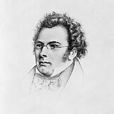 Lichtdruck-Postkarte mit einem Bildnis von Franz Schubert nach einer Lithografie von Josef Kriehuber