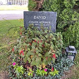 Ehrengrab von Johann Nepomuk David am Wiener Zentralfriedhof (Wien XI)
