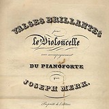 Unbeschriftetes Bild
