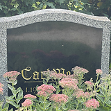Ehrengrab am Wiener Zentralfriedhof