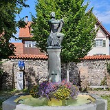Montfort-Brunnen am Ehregutaplatz in Bregenz