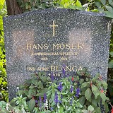Ehrengrab auf dem Wiener Zentralfriedhof