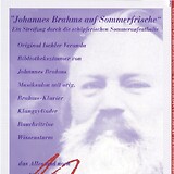 Plakat Brahms-Museum, 1991