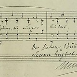 Max Niederberger (Die Bühne 20 [1925], 5)