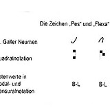 Wurde mit den Neumenzeichen die Bewegungsrichtung angegeben, so zeigten nach dem Wechsel von der spitzen zur breiten Schreibfeder die Quadratnoten Tonorte an, die schließlich einen messbaren Wert erhielten.