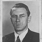 Brasilianische Einwanderungskarte, 14.3.1946