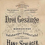 Unbeschriftetes Bild