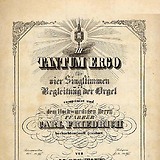 Unbeschriftetes Bild