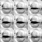 „Schwingende Lippen“ des Bläsers im Trompeten-Mundstück sind der eigentliche Tongenerator bei Trompeten.