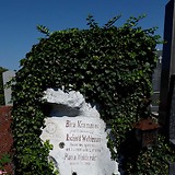 Grab auf dem Friedhof Hietzing